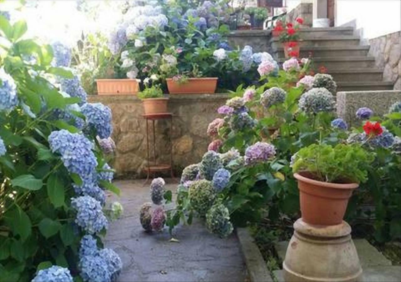 La Villetta In Montagna Vivo d'Orcia Bagian luar foto