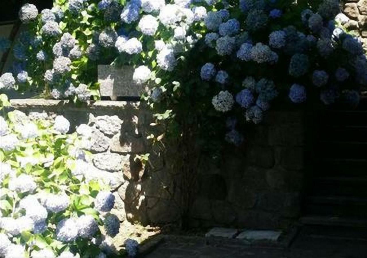 La Villetta In Montagna Vivo d'Orcia Bagian luar foto