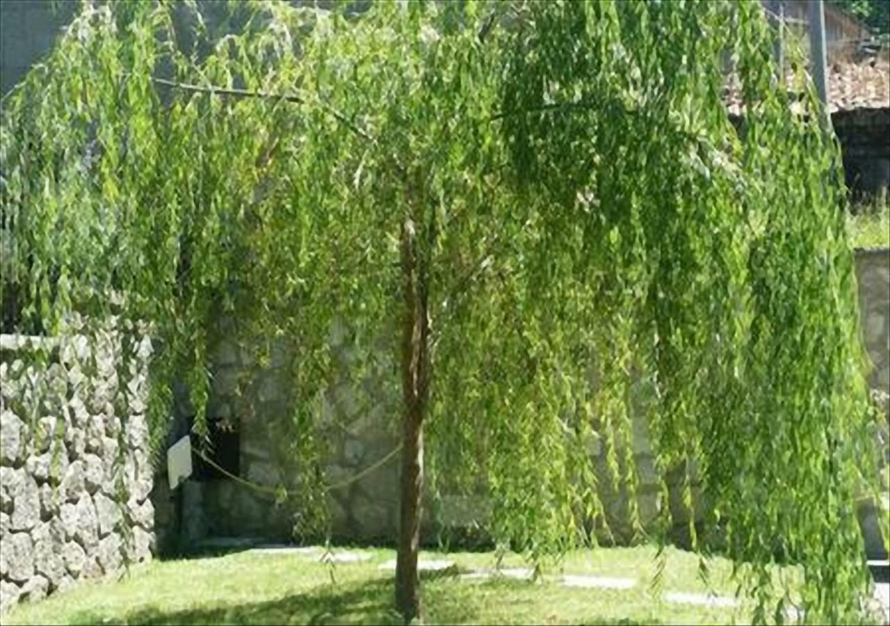 La Villetta In Montagna Vivo d'Orcia Bagian luar foto